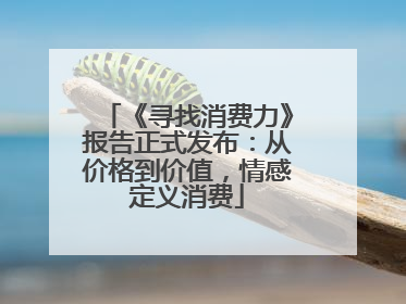 《寻找消费力》报告正式发布：从价格到价值，情感定义消费