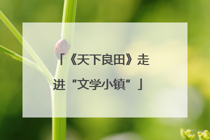 《天下良田》走进“文学小镇”