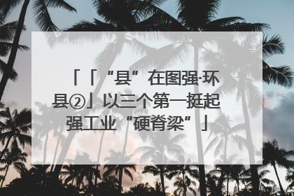 「“县”在图强·环县②」以三个第一挺起强工业“硬脊梁”