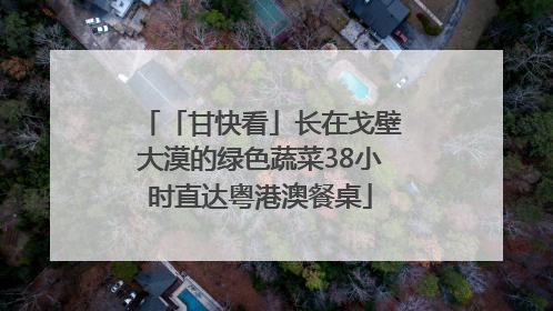 「甘快看」长在戈壁大漠的绿色蔬菜38小时直达粤港澳餐桌