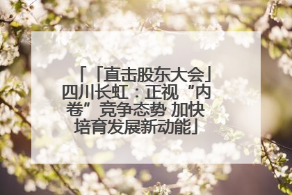 「直击股东大会」四川长虹：正视“内卷”竞争态势 加快培育发展新动能