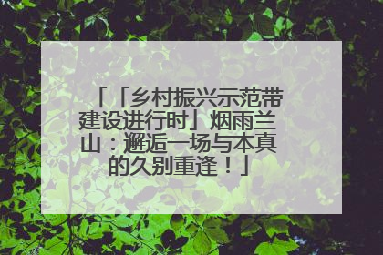 「乡村振兴示范带建设进行时」烟雨兰山：邂逅一场与本真的久别重逢！