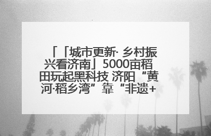 「城市更新· 乡村振兴看济南」5000亩稻田玩起黑科技 济阳“黄河·稻乡湾”靠“非遗+露营”火出圈