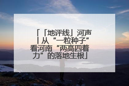「地评线」河声丨从“一粒种子”看河南“两高四着力”的落地生根