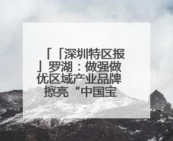 「深圳特区报」罗湖：做强做优区域产业品牌 擦亮“中国宝都 深圳水贝”金字招牌