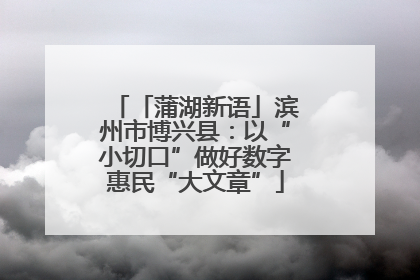 「蒲湖新语」滨州市博兴县：以“小切口”做好数字惠民“大文章”