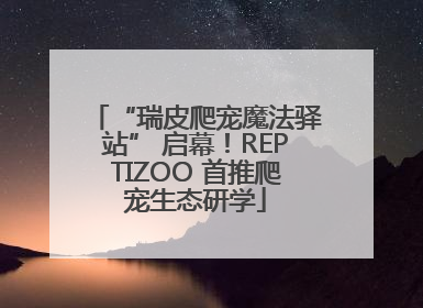 “瑞皮爬宠魔法驿站” 启幕！REPTIZOO 首推爬宠生态研学