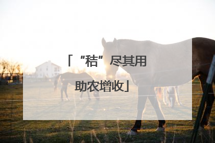 “秸”尽其用 助农增收