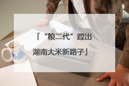 “粮二代”蹚出湖南大米新路子
