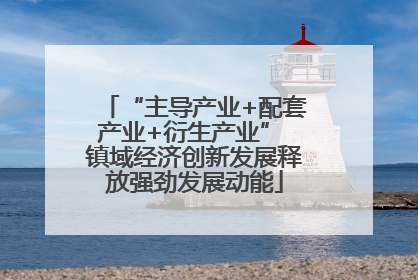 “主导产业+配套产业+衍生产业” 镇域经济创新发展释放强劲发展动能