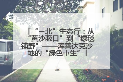 “三北”生态行：从“黄沙蔽日”到“绿毯铺野”——浑善达克沙地的“绿色重生”