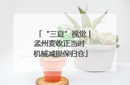 “三夏”视觉｜孟州麦收正当时 机械减损保归仓