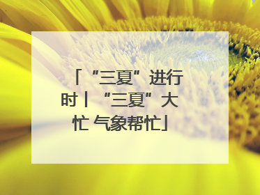“三夏”进行时丨“三夏”大忙 气象帮忙