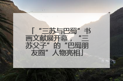 “三苏与巴蜀”书画文献展开幕，“三苏父子”的“巴蜀朋友圈”人物亮相