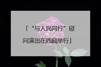 “与人民同行”慰问演出在西藏举行