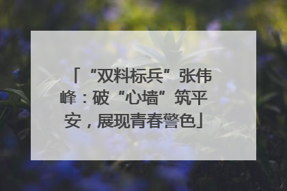 “双料标兵”张伟峰：破“心墙”筑平安，展现青春警色