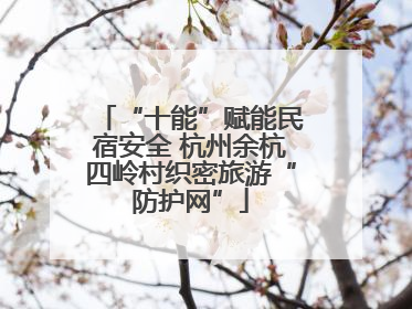 “十能”赋能民宿安全 杭州余杭四岭村织密旅游“防护网”