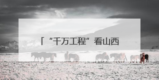 “千万工程”看山西｜运城篇（之二）——永济市东开张村