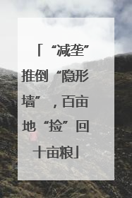 “减垄”推倒“隐形墙”，百亩地“捡”回十亩粮