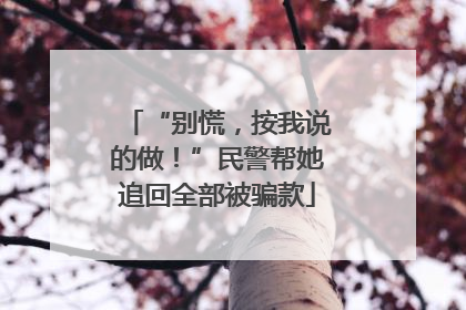 “别慌，按我说的做！”民警帮她追回全部被骗款