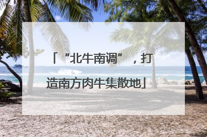 “北牛南调”，打造南方肉牛集散地