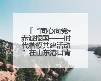 “同心向党•赤诚报国——时代楷模共建活动”在山东港口青岛港举行
