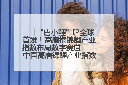 “唐小鲤”IP全球首发！高唐携锦鲤产业指数布局数字赛道——中国高唐锦鲤产业指数暨“唐小鲤”IP全球首发仪式在杭州举行