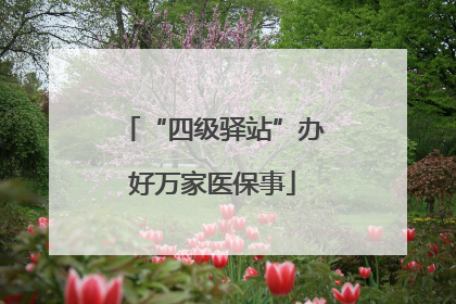 “四级驿站”办好万家医保事