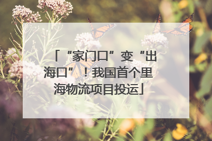 “家门口”变“出海口”！我国首个里海物流项目投运