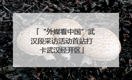 “外媒看中国”武汉段采访活动首站打卡武汉经开区