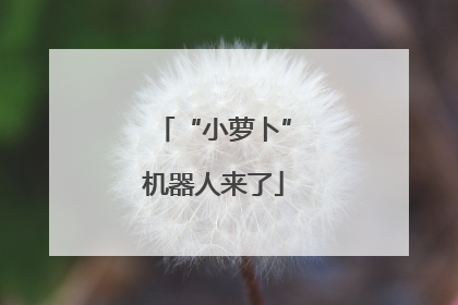 “小萝卜”机器人来了