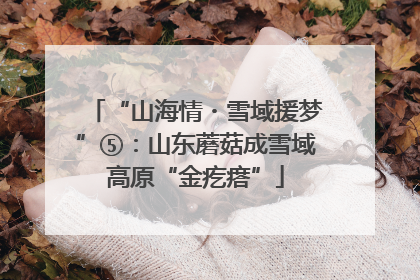 “山海情・雪域援梦”⑤：山东蘑菇成雪域高原“金疙瘩”