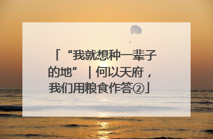 “我就想种一辈子的地”｜何以天府，我们用粮食作答②