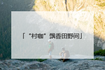 “村咖”飘香田野间