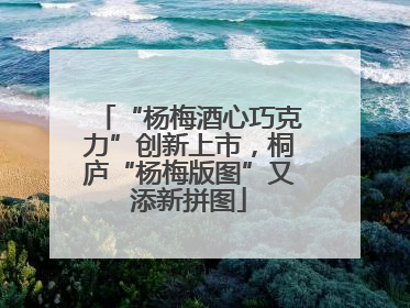 “杨梅酒心巧克力”创新上市，桐庐“杨梅版图”又添新拼图