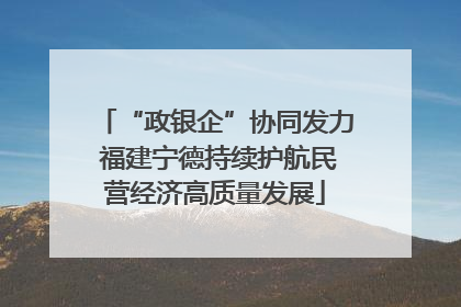 “政银企”协同发力 福建宁德持续护航民营经济高质量发展