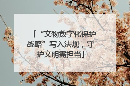 “文物数字化保护战略”写入法规，守护文明需担当