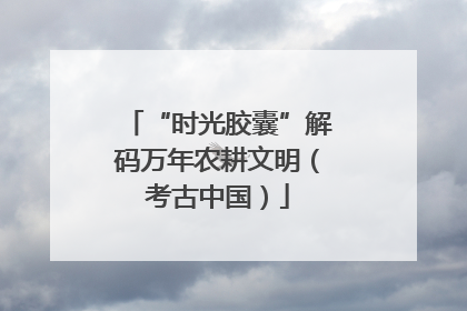 “时光胶囊”解码万年农耕文明（考古中国）