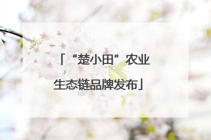 “楚小田”农业生态链品牌发布