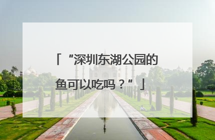 “深圳东湖公园的鱼可以吃吗？”