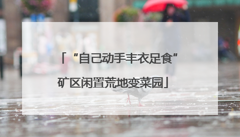 “自己动手丰衣足食”矿区闲置荒地变菜园