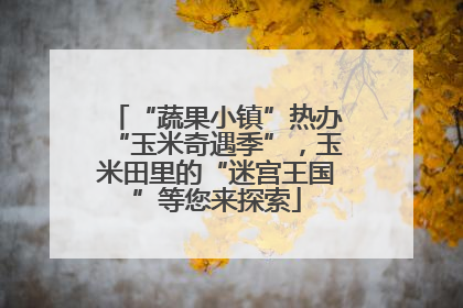 “蔬果小镇”热办“玉米奇遇季”，玉米田里的“迷宫王国”等您来探索