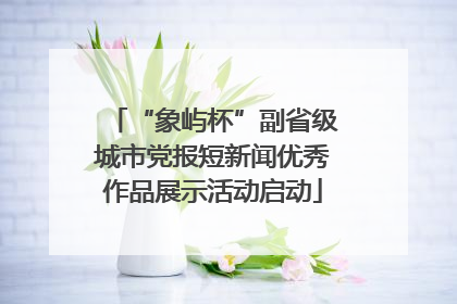 “象屿杯”副省级城市党报短新闻优秀作品展示活动启动