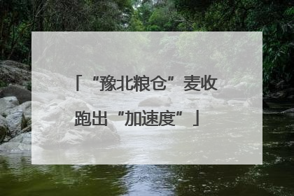 “豫北粮仓”麦收跑出“加速度”