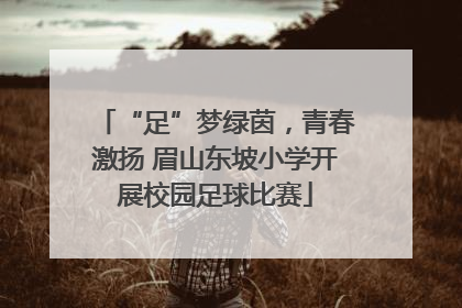 “足”梦绿茵，青春激扬 眉山东坡小学开展校园足球比赛