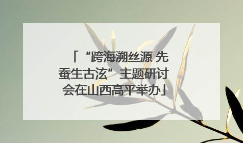 “跨海溯丝源 先蚕生古泫”主题研讨会在山西高平举办
