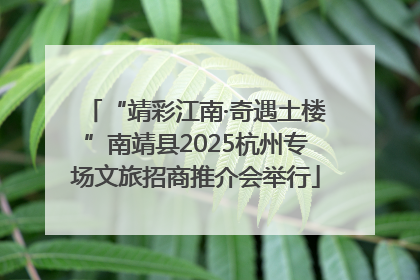 “靖彩江南·奇遇土楼”南靖县2025杭州专场文旅招商推介会举行