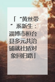 “黄丝带”系新生：淄博市桓台县多元共治铺就社矫对象回归路