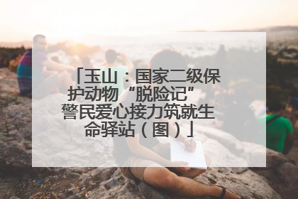 玉山：国家二级保护动物“脱险记” 警民爱心接力筑就生命驿站（图）