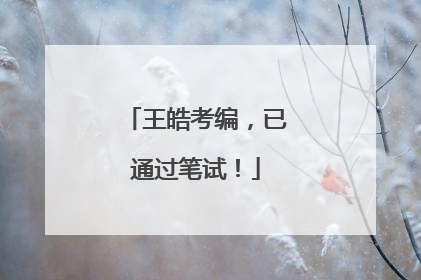 王皓考编，已通过笔试！